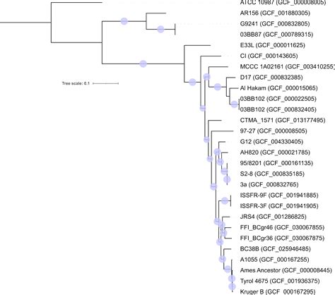 Reference genome assembly and annotation of two Bacillus cereus sensu ...