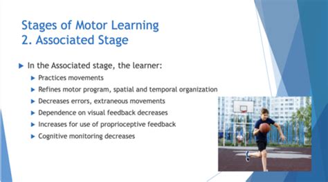 Motor Learning Principles 的图像结果