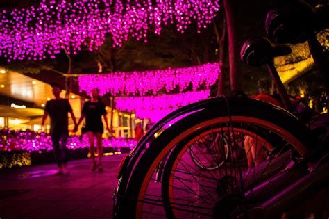 Bitcycle 的图像结果