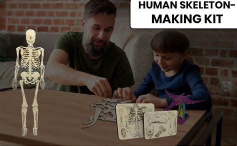 Buy StepsToDo DIY Wooden Human Skeleton Making Learning kit for ...