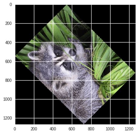 SciPy Library Program Example 的图像结果