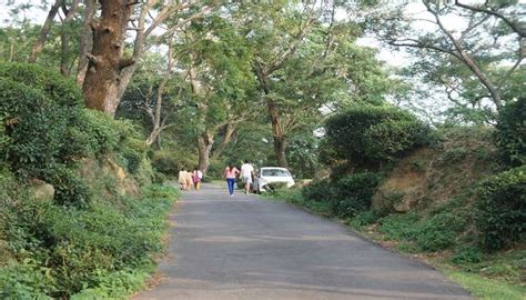 Dambatenne Tea Factory In Sri Lanka To Immerse In Beauty In 2026