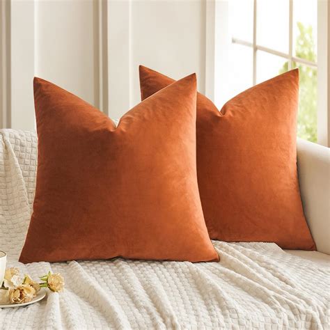 Buy MIULEE Pack of 2 Velvet Soft Soild Decorative Square Throw Pillow ...