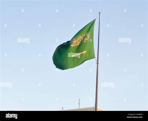 The national flag of Saudi Arabia kingdom, a green background with Arabic inscription and a ...