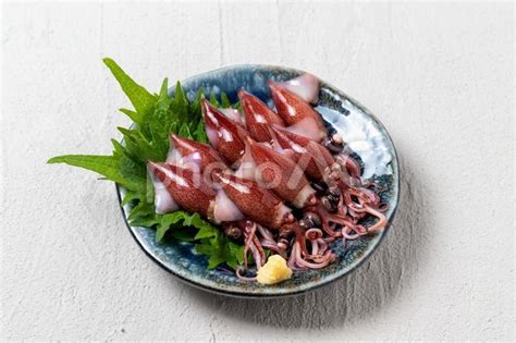 Image result for Alien Predator Goo