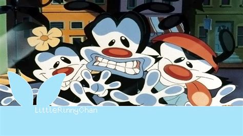 Image result for Animaniacs Intro Short