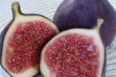 Feigen - gesund und karlorienarm