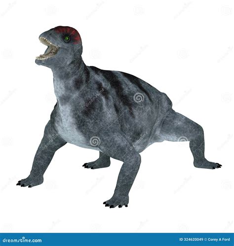 Criocephalosaurus Permian Period Therapsid Animal Stock Illustration ...