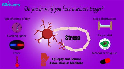 Epilepsy Seizure Triggers