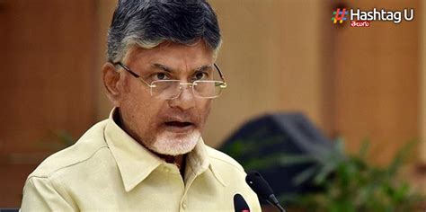 Andhra Pradesh: రాధకి ఏం జరిగినా ప్రభుత్వానిదే బాధ్యత- చంద్రబాబు ...