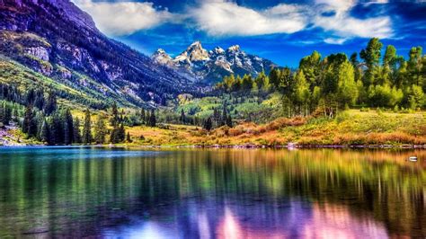 Image result for Colorado O2 Sensor Bank One
