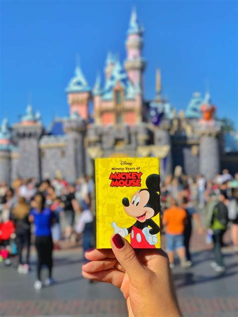 Insight Editions Office Photos