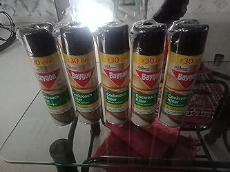 Baygon Cockroach Killer Spray, 400 Ml, Pack Of 1 : Amazon.in: Health ...