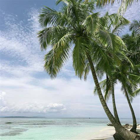 Rezultat imagine pentru Tutorial On System One in Doctors