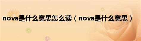 nova是什么意思怎么读（nova是什么意思）_车百科
