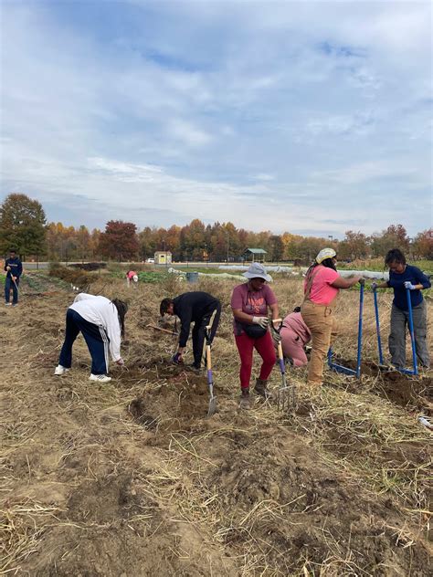 Ujima Jams - OURSPACE WORLD