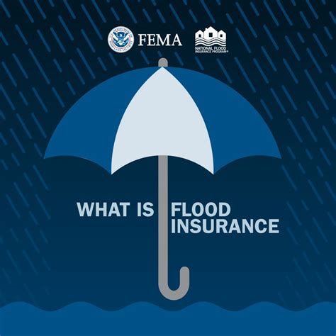 Image result for National Flood Insurance Program