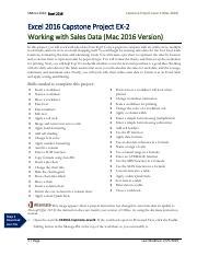 Image result for Excel Capstone Project Level 2