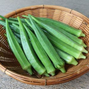 Indus-7 Okra Seeds Manufacturer, Supplier from Aurangabad