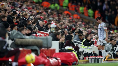 Image result for Wolves Vs Tottenham Analysis