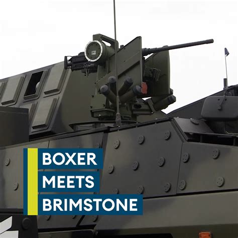 Boxer Vehicle Variants 的图像结果