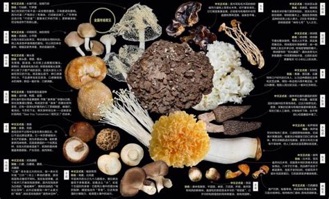 蘑菇头请入 | 海外食用菌菇名称分类对照