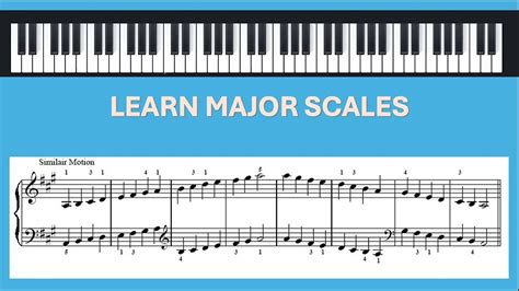 Image result for Scale Lesson On Keyboard