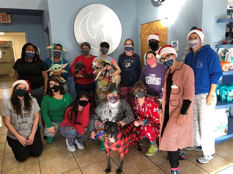 Crescent City Vet | Daycare, Boarding, Bathing & Veterinary Services