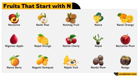 28 Fruits That Start with Letter N
