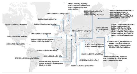 Global Distribution of Founder Variants Associated with Non-Syndromic ...