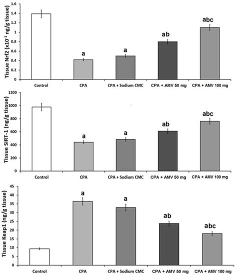 Amentoflavone Mitigates Cyclophosphamide-Induced Pulmonary Toxicity ...