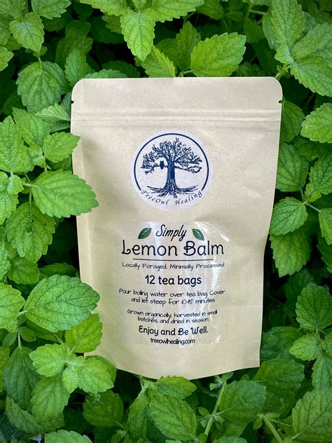Organic Lemon Balm Tea Bags - Tea and Honey - TreeOwl Healing | Organic ...