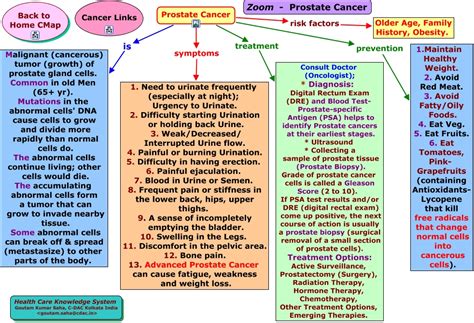 Zoom-Cancer-Prostate.html