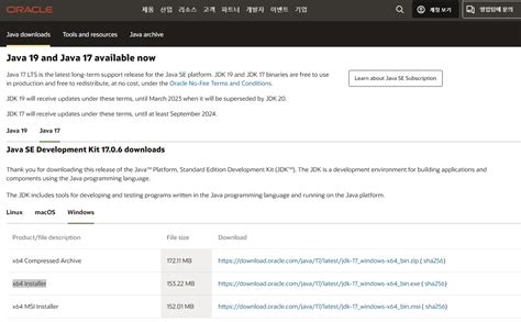 Java SE 17 Code Tutorial 的图像结果