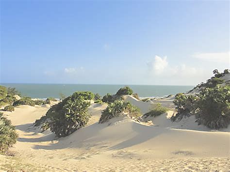 Exploring Lamu coast: Kenya's cultural & natural gem | Meer