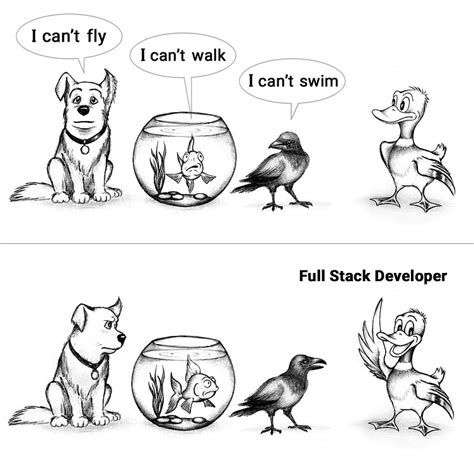 Image result for Full-Stack Development Funny Cartoons
