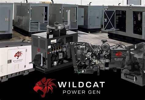 Image result for Wildcat Code Generator