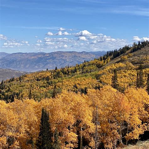 IMG_5229 | Maxine Mayer | Flickr