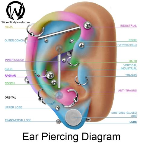 Different Ear Piercing Pain Levels | Piercing Studio