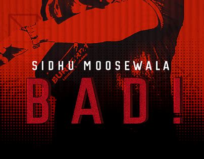 Song 的图像结果