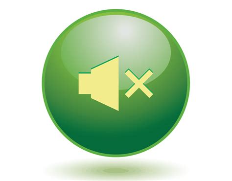 Image result for How to Use Zoom Controls