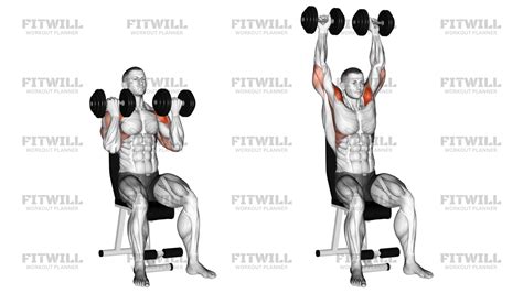 Complete Dumbbell Shoulder Workout for Size and Definition | Workout ...