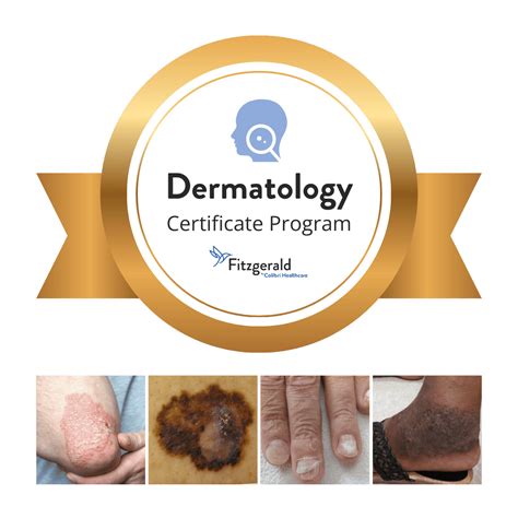 Dermatology Certificate for Nurse Practitioners — 61 Contact Hours | FHEA