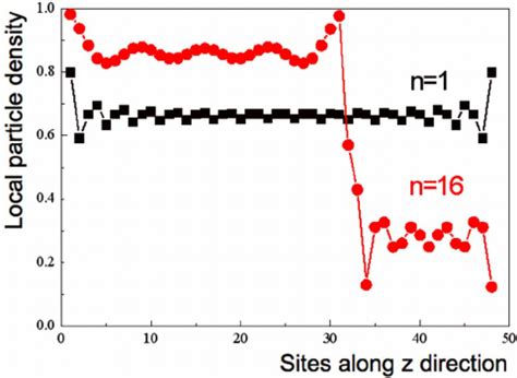 Density Particle Model 的图像结果