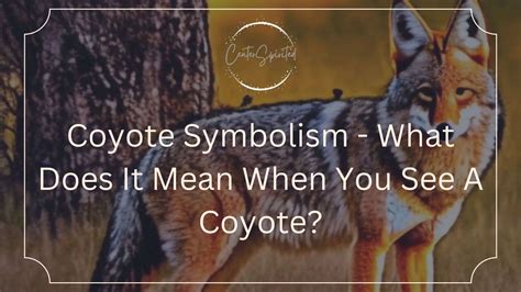 Coyote Symbolism - What Does It Mean When You See A Coyote?