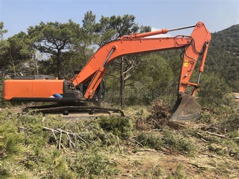 Image result for Small Excavator Logging