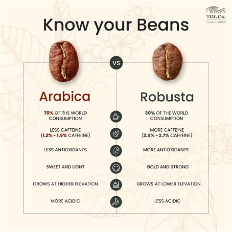 Best Euphoria Instant Coffee | TGL Co. – The Good Life Company (TGL Co.)