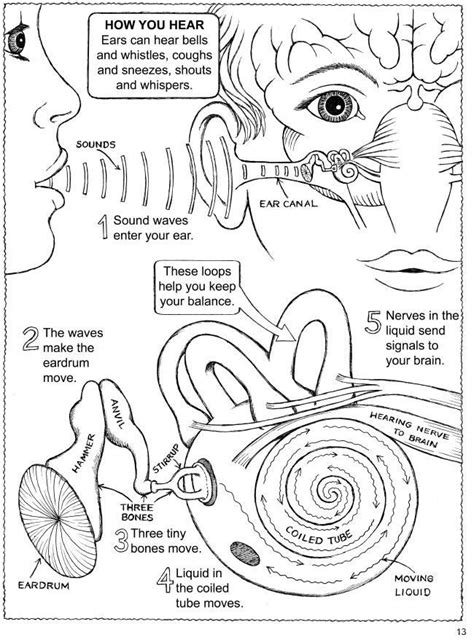 Sound Wave Experiments 的图像结果
