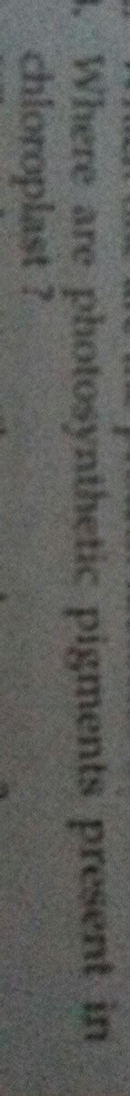 what is work? define it? give examples? - Brainly.in