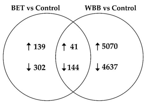 RNA-Seq de Novo Assembly and Differential Transcriptome Analysis of ...